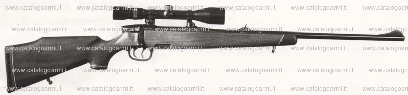 Carabina Steyr Mannlicher modello M (252)