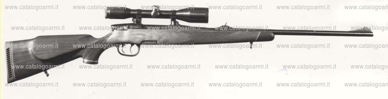 Carabina Steyr Mannlicher modello M half Stock (523)