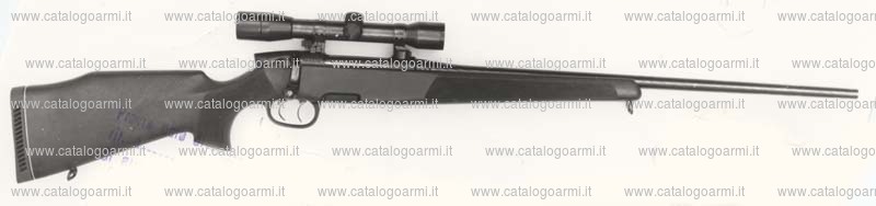 Carabina Steyr Mannlicher modello M professional (736)