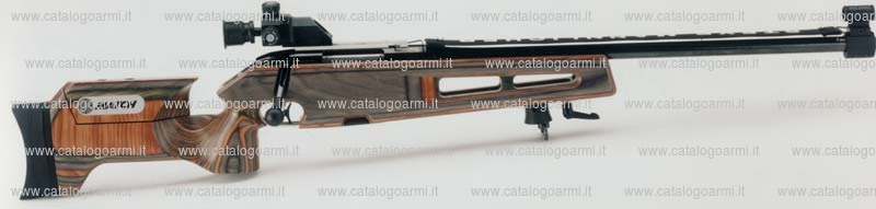 Carabina Steyr Mannlicher modello SBS 96 Match (12212)