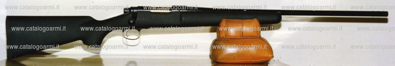 Carabina Tincani Daniele modello Remington 700 (9009)