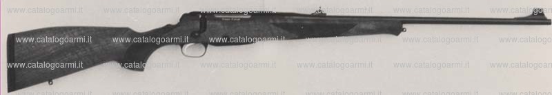 Carabina VERNEY-CARRON SA modello Impact Plas Affut (10455)
