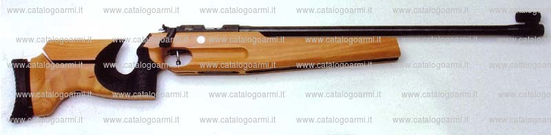Carabina Walther modello KK 100 (14300)