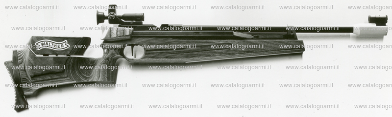 Carabina Walther modello LGM 2 Junior (monogrilletto regolabile predisposto per l'innesto del cannocchiale) (mirino a tunnel) (9771)