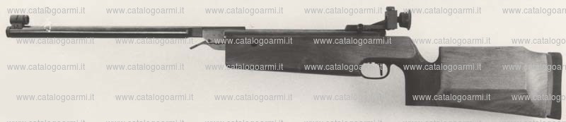 Carabina Walther modello LGV Spezial (1078)