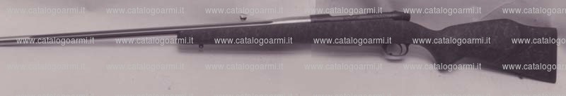 Carabina Weatherby modello Mark V (10002)