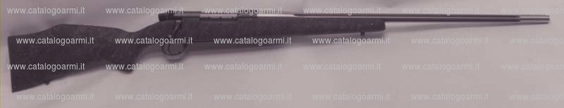 Carabina Weatherby modello Mark V (10002)