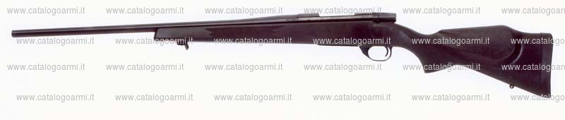 Carabina Weatherby modello Vanguard (16432)