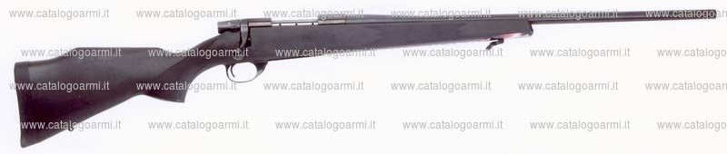 Carabina Weatherby modello Vanguard (16433)