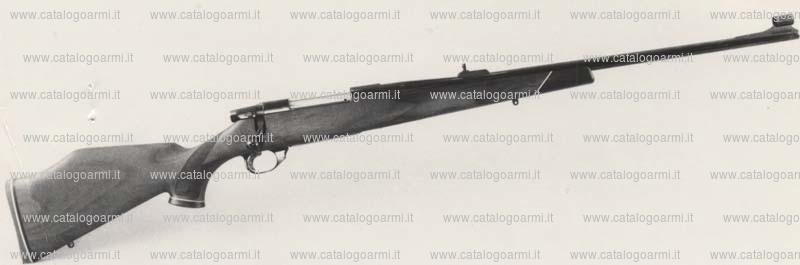 Carabina Weatherby modello Vanguard (959)