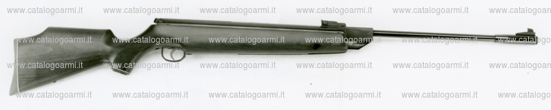 Carabina Webley & Scott modello Webley patriot (mira regolabile) (9946)