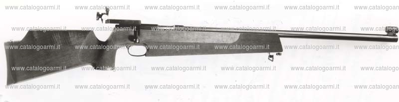 Carabina Weihrauch modello HW 60 Match (2311)