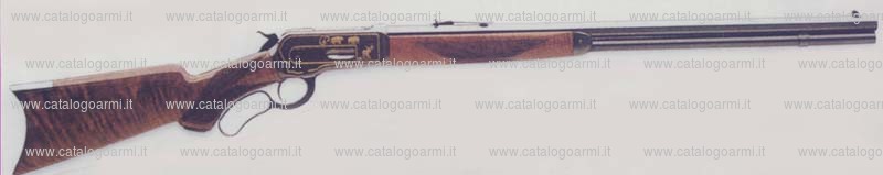 Carabina Winchester modello 1886 (11005)