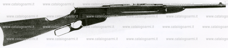 Carabina Winchester modello 1895 (6122)