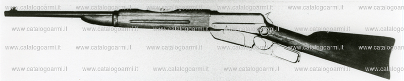 Carabina Winchester modello 1895 (6195)