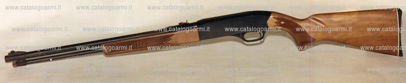 Carabina Winchester modello 290 (6669)