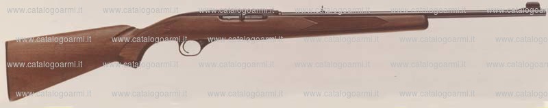 Carabina Winchester modello 490 (300)