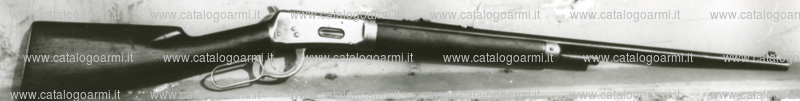 Carabina Winchester modello 55 (8296)