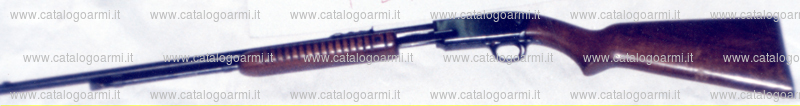 Carabina Winchester modello 61 (5155)