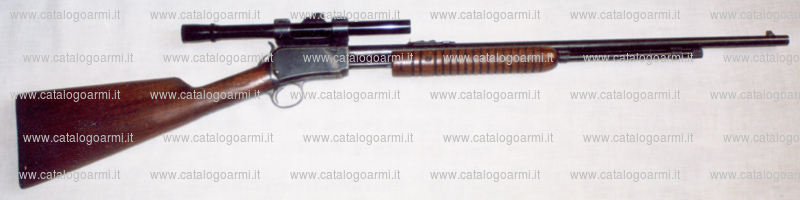 Carabina Winchester modello 62 A (15828)