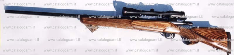 Carabina Winchester modello 70 (11933)