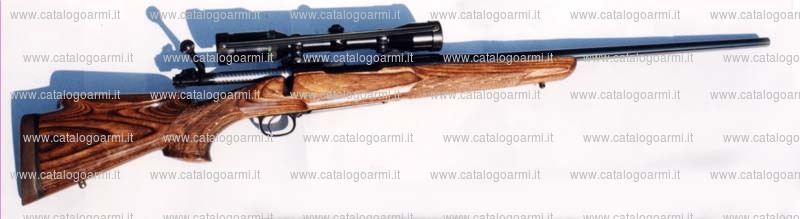 Carabina Winchester modello 70 (11933)