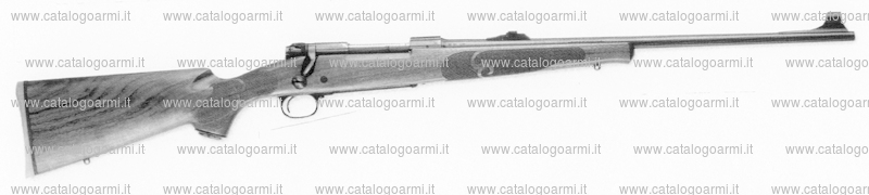 Carabina Winchester modello 70 (14976)