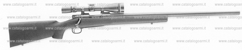 Carabina Winchester modello 70 (14978)