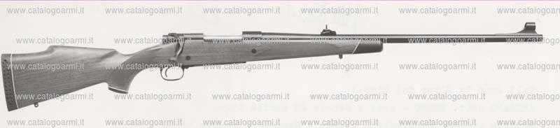 Carabina Winchester modello 70 (290)