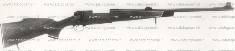 Carabina Winchester modello 70 (291)