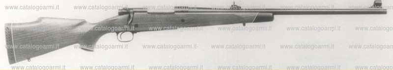 Carabina Winchester modello 70 (294)