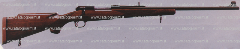 Carabina Winchester modello 70 (8029)