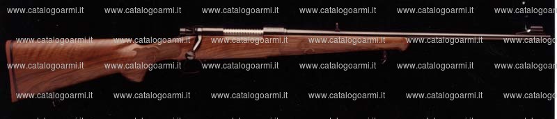 Carabina Winchester modello 70 Featherweight (2897)