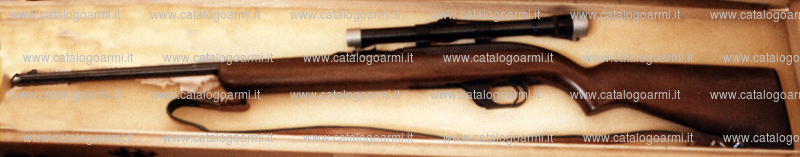 Carabina Winchester modello 77 (5878)