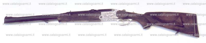 Carabina express BLASER modello B 750 88 (14035)