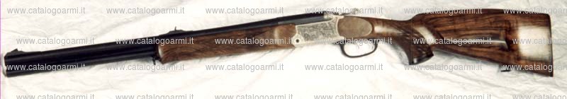 Carabina express BLASER modello B 95 (11809)