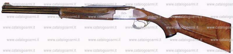 Carabina express Browning modello CCS 525 (15837)