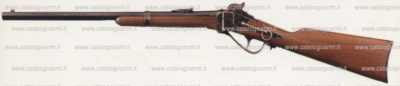 Fucile Armi Sport modello Sharp 1874 vavalry (10994)