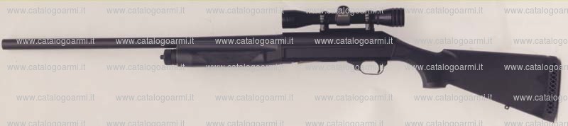 Fucile BENELLI ARMI modello Super black eagle (tacca di mira regolabile) (10106)