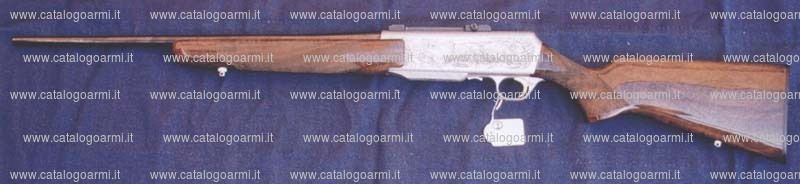 Fucile Browning modello BAR (12308)