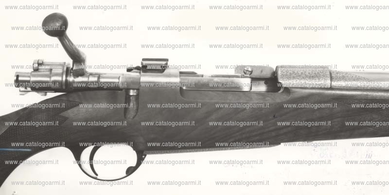 Fucile Casartelli modello Africa (1276)