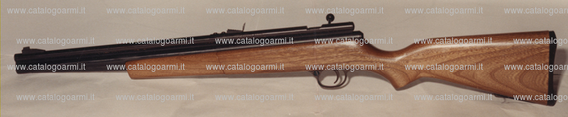 Fucile Crosman modello 1400 (6073)