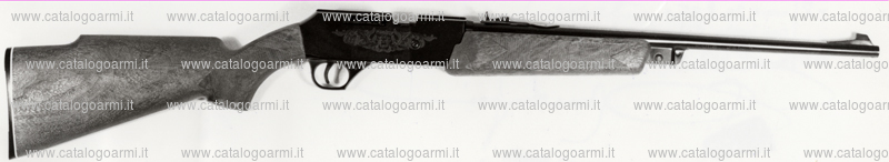 Fucile DaIsy modello Power line 860 (tacca di mira regolabile e mirino fisso) (5433)
