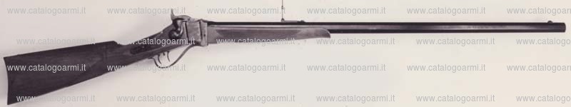 Fucile PEDERSOLI DAVIDE & C modello 1874 Sharps (11785)