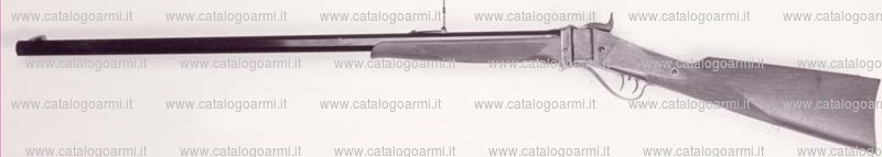 Fucile PEDERSOLI DAVIDE & C modello 1874 Sharps (11787)