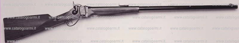 Fucile PEDERSOLI DAVIDE & C modello 1874 Sharps (11792)