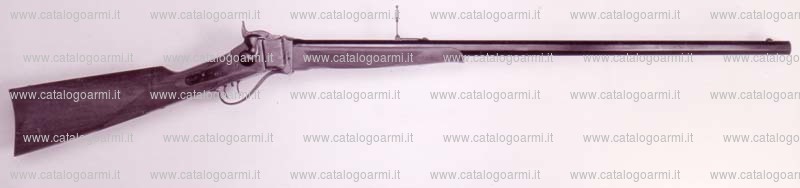 Fucile PEDERSOLI DAVIDE & C modello 1874 Sharps sporting (13759)