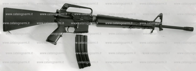Fucile Eagle Arms modello Ea 15 standard 222 (8324)