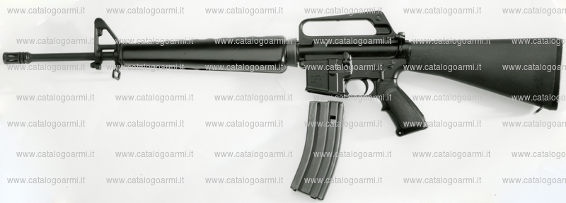 Fucile Eagle Arms modello Ea 15 standard 223 (8327)