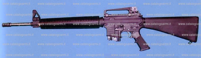 Fucile GM Tecno modello AR 15 (14362)